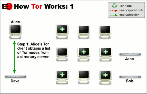TOR1.png